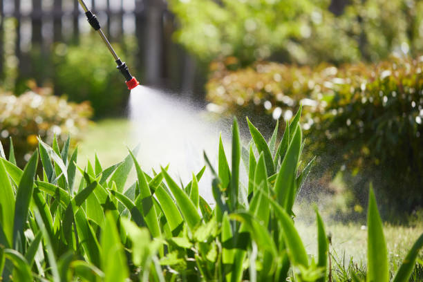 24/7 Emergency Mosquito Control experts in Palmer, AK