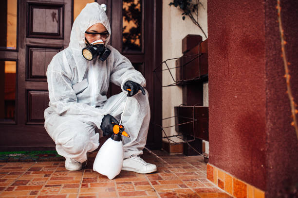 Reliable Mosquito Control contractor in Palmer, AK by Show Me Pest Control